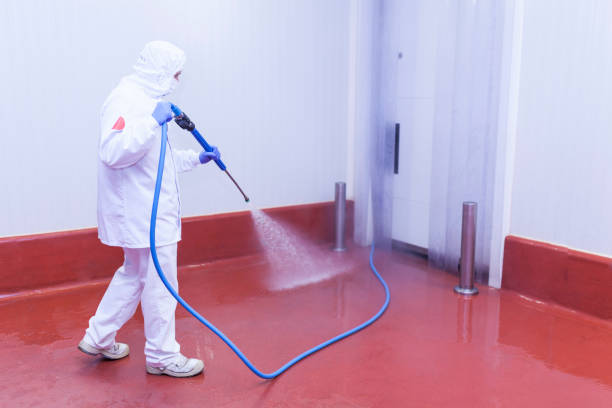 Playground Equipment Cleaning in Livonia, MI